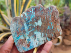 Polished One Side Shattuckite Free Forms x 12 From Kaokoveld, Namibia - Toprock Gemstones and Minerals 