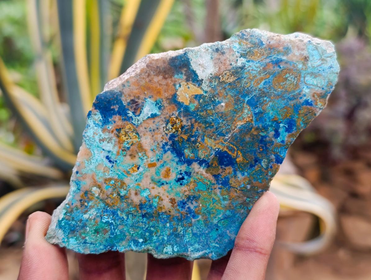 Polished One Side Shattuckite Free Forms x 12 From Kaokoveld, Namibia - Toprock Gemstones and Minerals 