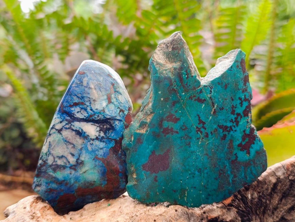 Polished One Side Shattuckite Free Forms x 12 From Kaokoveld, Namibia - Toprock Gemstones and Minerals 