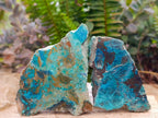 Polished One Side Shattuckite Free Forms x 12 From Kaokoveld, Namibia - Toprock Gemstones and Minerals 