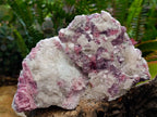 Natural Pink Rubellite Tourmaline Specimens x 4 From Karibib, Namibia - Toprock Gemstones and Minerals 