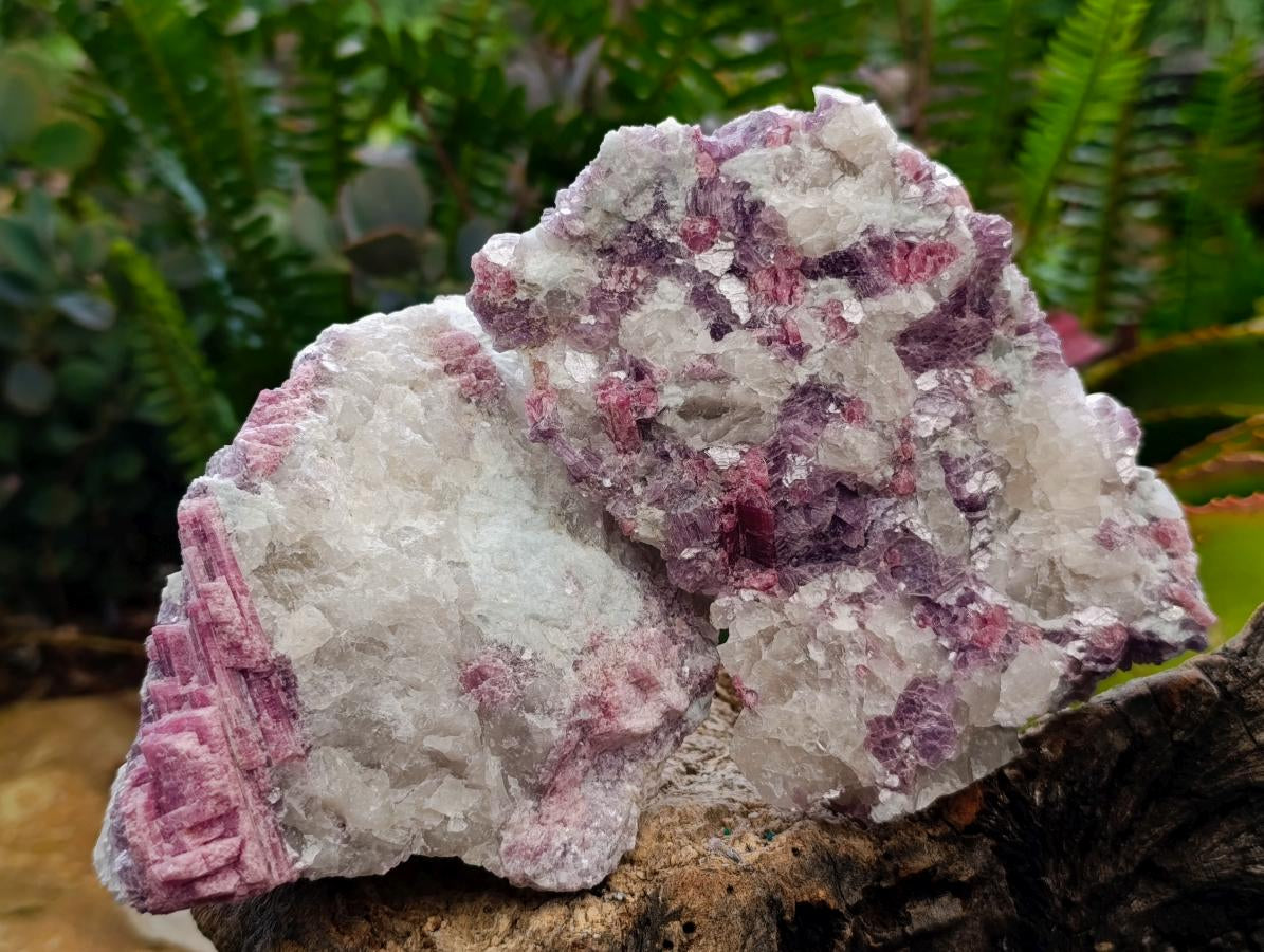 Natural Pink Rubellite Tourmaline Specimens x 4 From Karibib, Namibia - Toprock Gemstones and Minerals 