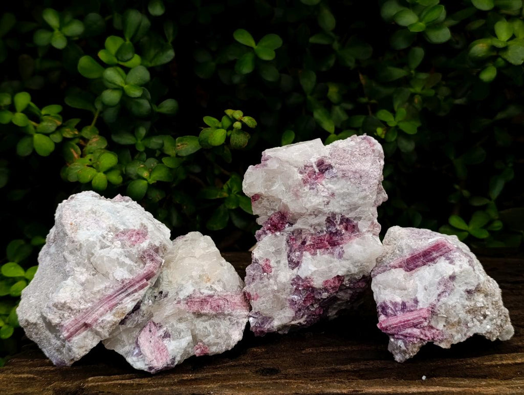 Natural Pink Rubellite Tourmaline Specimens x 4 From Karibib, Namibia - Toprock Gemstones and Minerals 