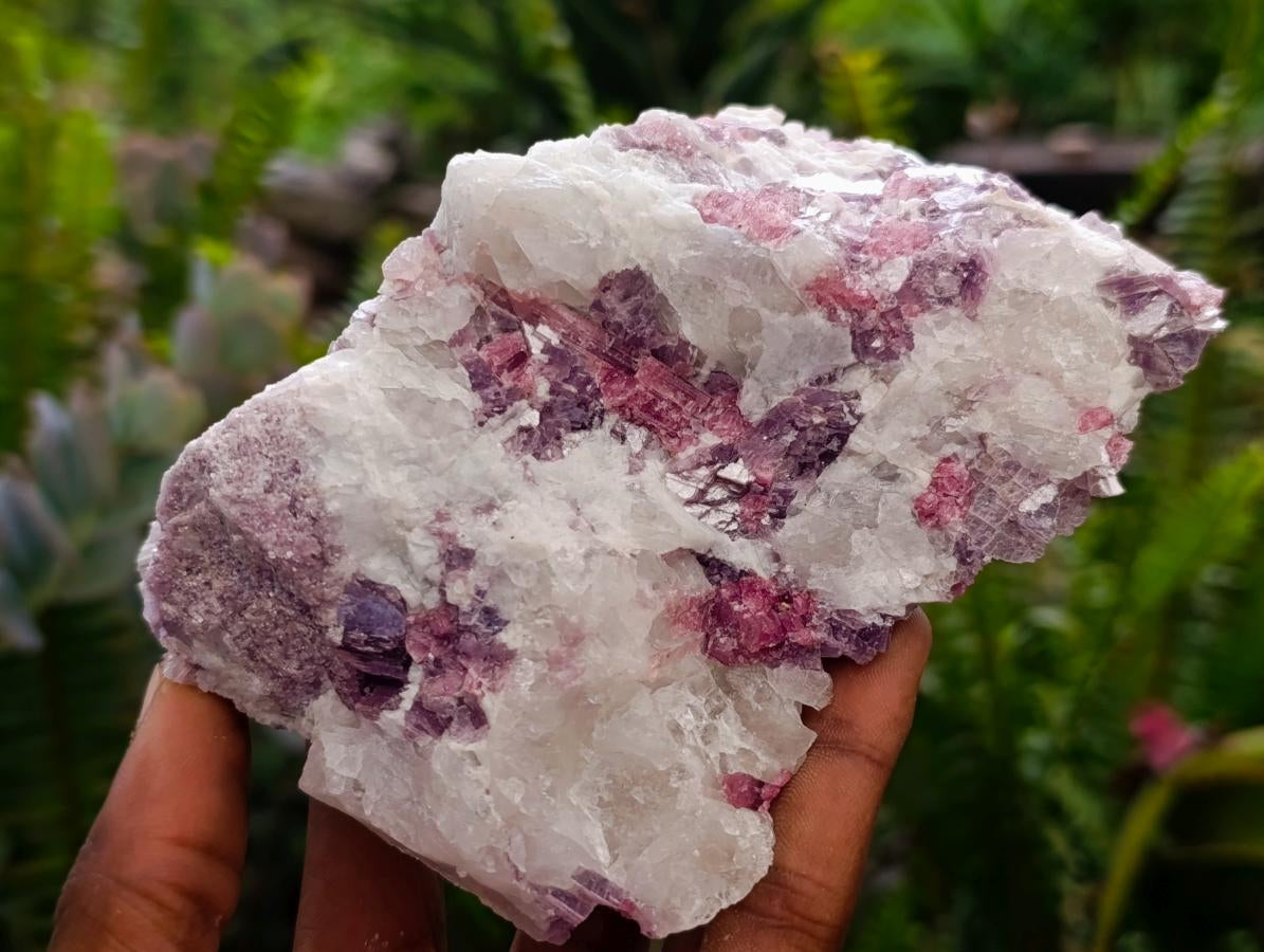 Natural Pink Rubellite Tourmaline Specimens x 4 From Karibib, Namibia - Toprock Gemstones and Minerals 