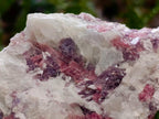 Natural Pink Rubellite Tourmaline Specimens x 4 From Karibib, Namibia - Toprock Gemstones and Minerals 