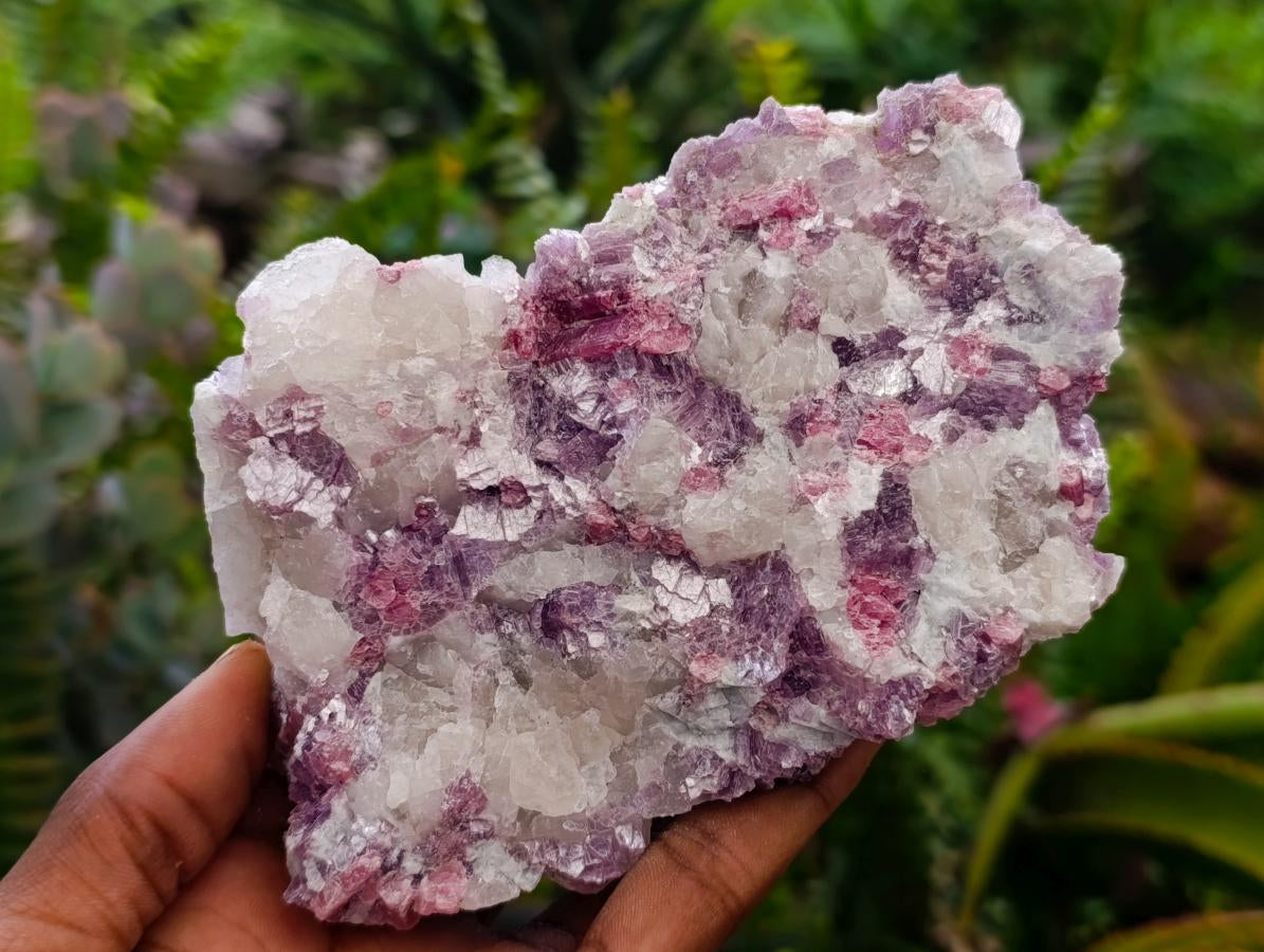 Natural Pink Rubellite Tourmaline Specimens x 4 From Karibib, Namibia - Toprock Gemstones and Minerals 