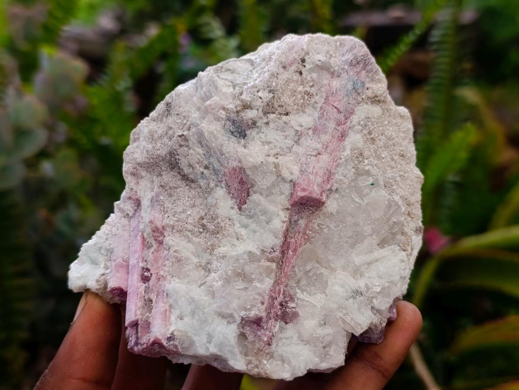 Natural Pink Rubellite Tourmaline Specimens x 4 From Karibib, Namibia - Toprock Gemstones and Minerals 