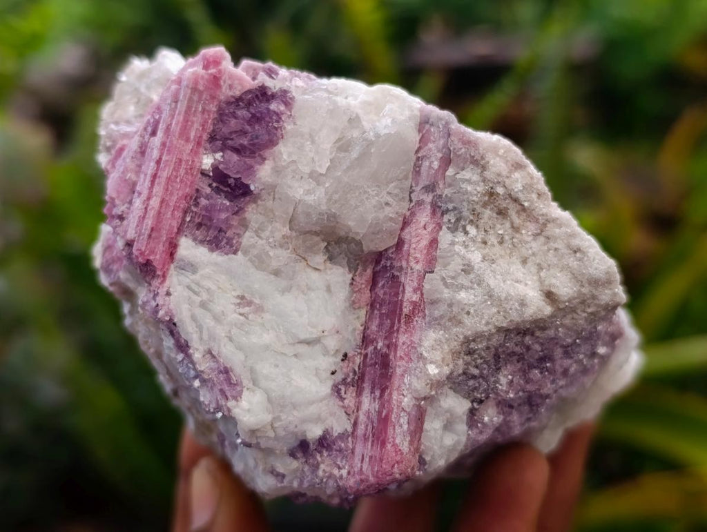 Natural Pink Rubellite Tourmaline Specimens x 4 From Karibib, Namibia - Toprock Gemstones and Minerals 