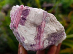 Natural Pink Rubellite Tourmaline Specimens x 4 From Karibib, Namibia - Toprock Gemstones and Minerals 