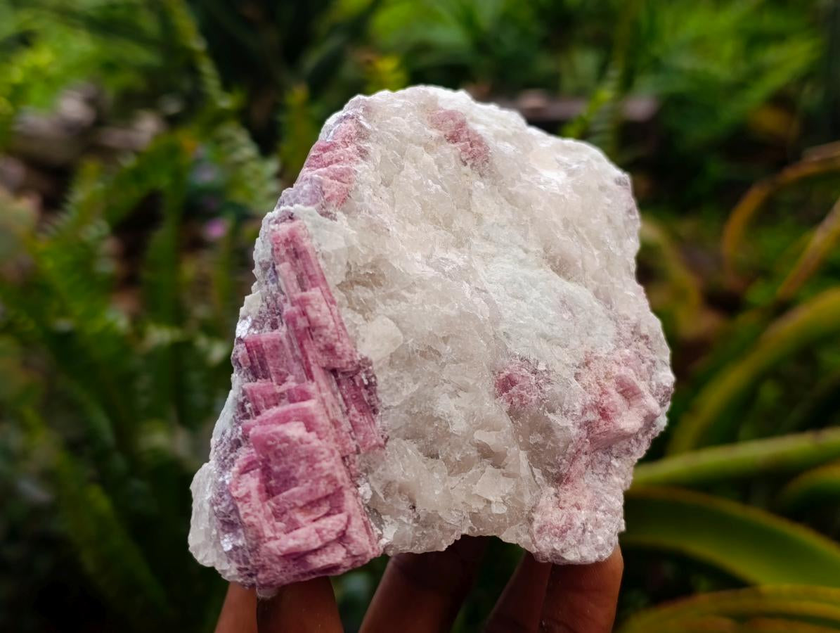 Natural Pink Rubellite Tourmaline Specimens x 4 From Karibib, Namibia - Toprock Gemstones and Minerals 