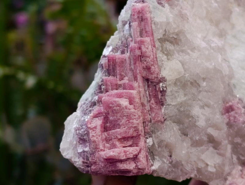Natural Pink Rubellite Tourmaline Specimens x 4 From Karibib, Namibia - Toprock Gemstones and Minerals 