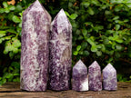 Polished Lepidolite Display Crystals x 5 From Ambatondrazaka, Madagascar - Toprock Gemstones and Minerals 