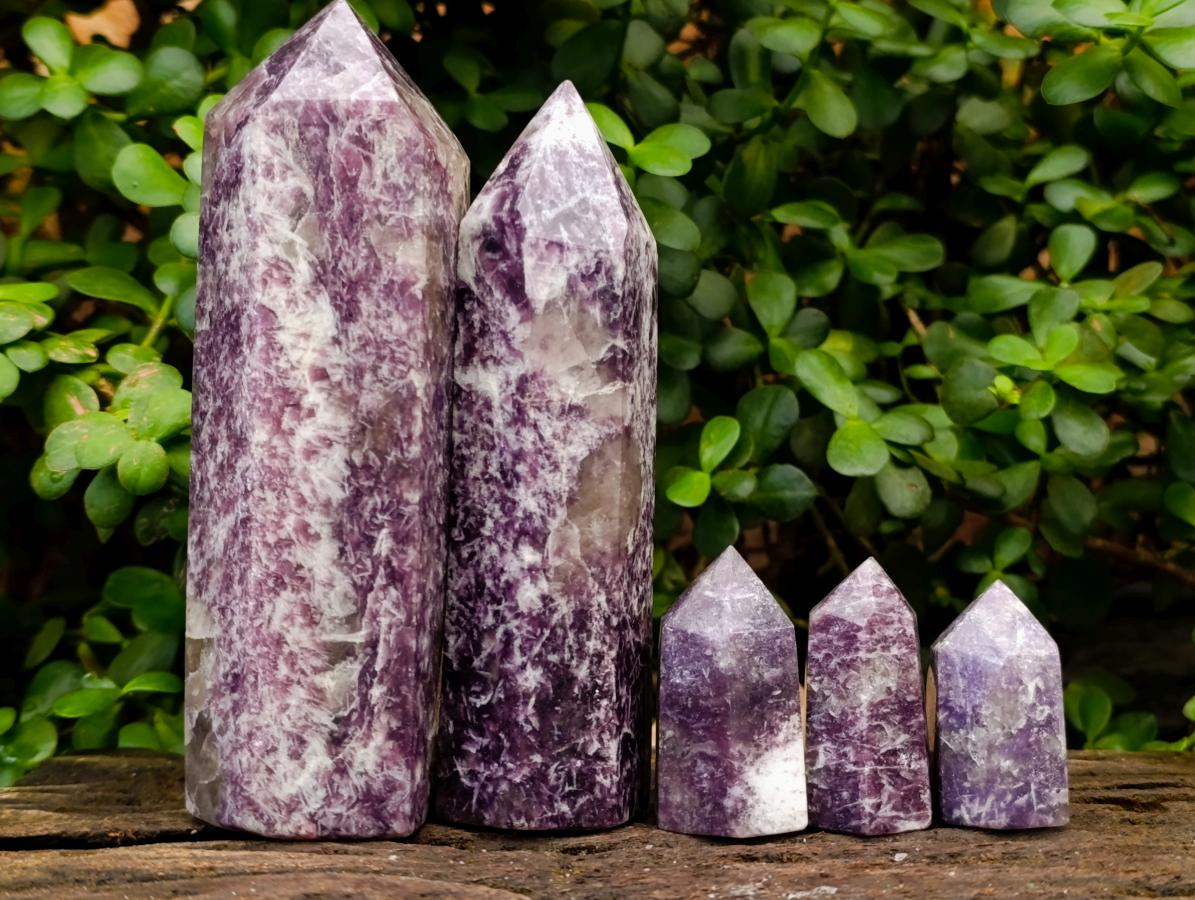 Polished Lepidolite Display Crystals x 5 From Ambatondrazaka, Madagascar - Toprock Gemstones and Minerals 