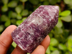 Polished Lepidolite Display Crystals x 5 From Ambatondrazaka, Madagascar - Toprock Gemstones and Minerals 