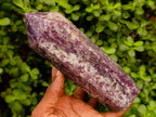 Polished Lepidolite Display Crystals x 5 From Ambatondrazaka, Madagascar - Toprock Gemstones and Minerals 