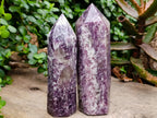 Polished Lepidolite Display Crystals x 5 From Ambatondrazaka, Madagascar - Toprock Gemstones and Minerals 