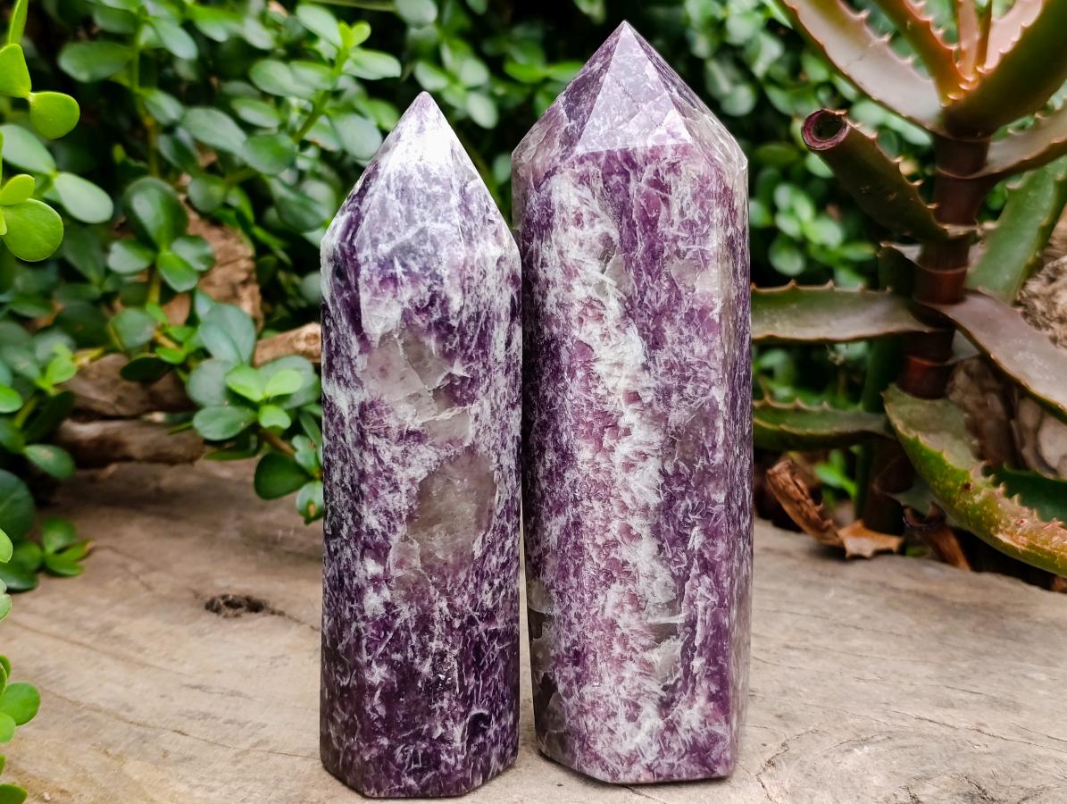 Polished Lepidolite Display Crystals x 5 From Ambatondrazaka, Madagascar - Toprock Gemstones and Minerals 