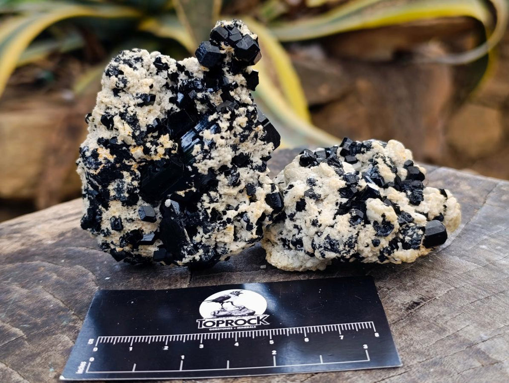 Natural Schorl Black Tourmaline with Feldspar Specimens x 6 From Erongo, Namibia - Toprock Gemstones and Minerals 