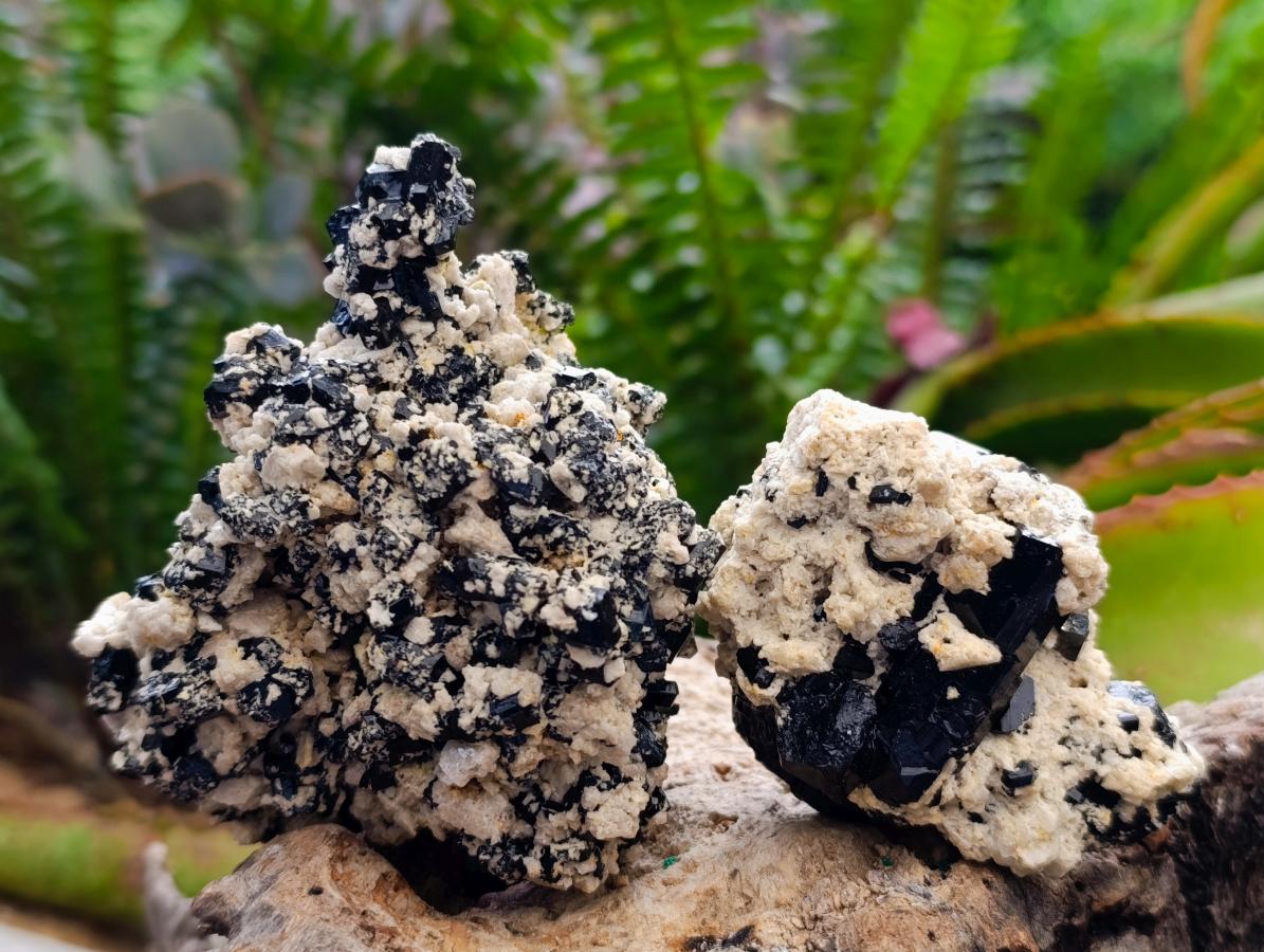 Natural Schorl Black Tourmaline with Feldspar Specimens x 6 From Erongo, Namibia - Toprock Gemstones and Minerals 