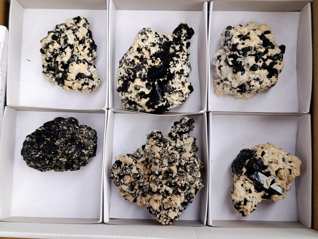 Natural Schorl Black Tourmaline with Feldspar Specimens x 6 From Erongo, Namibia - Toprock Gemstones and Minerals 