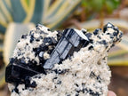 Natural Schorl Black Tourmaline with Feldspar Specimens x 6 From Erongo, Namibia - Toprock Gemstones and Minerals 