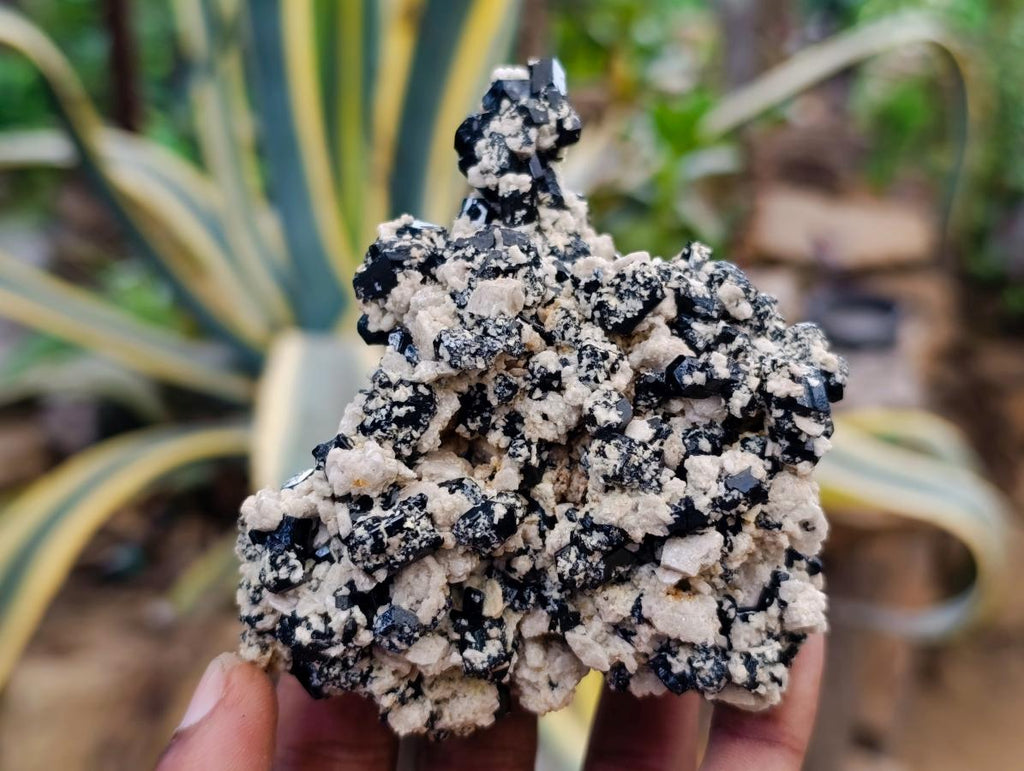 Natural Schorl Black Tourmaline with Feldspar Specimens x 6 From Erongo, Namibia - Toprock Gemstones and Minerals 