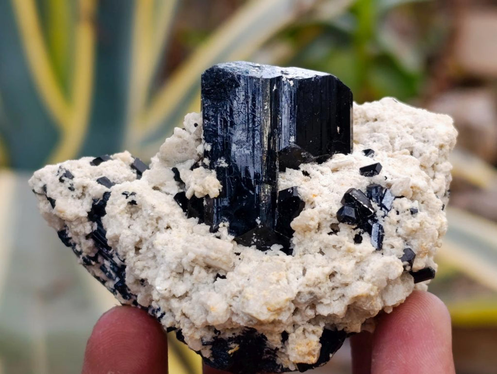 Natural Schorl Black Tourmaline with Feldspar Specimens x 6 From Erongo, Namibia - Toprock Gemstones and Minerals 