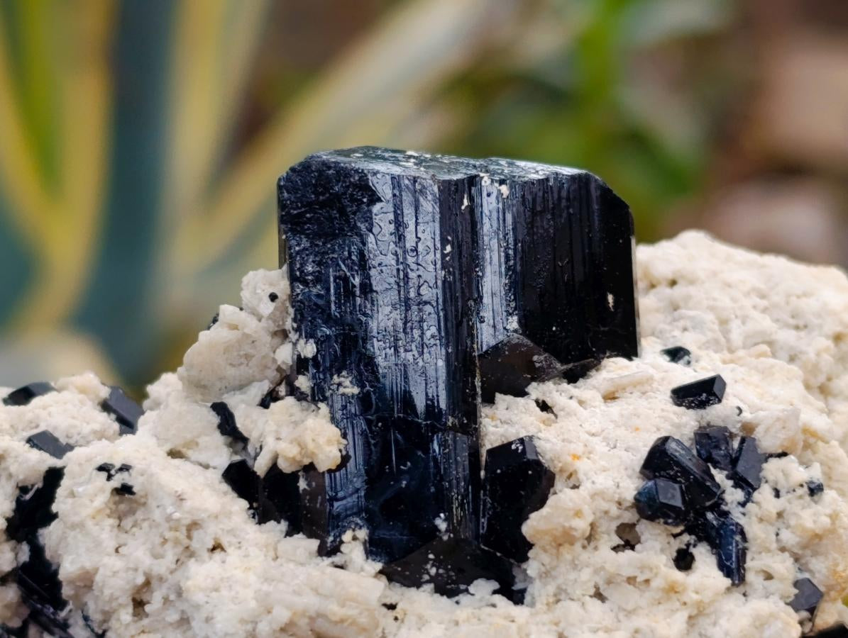 Natural Schorl Black Tourmaline with Feldspar Specimens x 6 From Erongo, Namibia - Toprock Gemstones and Minerals 