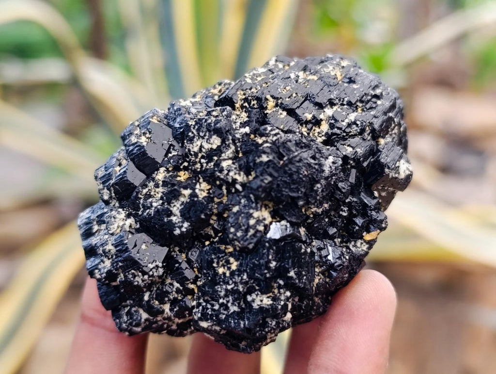 Natural Schorl Black Tourmaline with Feldspar Specimens x 6 From Erongo, Namibia - Toprock Gemstones and Minerals 