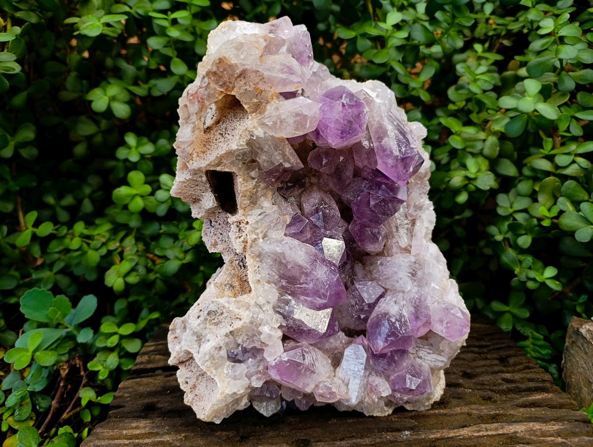 Natural XL Jacaranda Amethyst Crystal Cluster x 1 From Mumbwa, Zambia - Toprock Gemstones and Minerals 