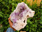 Natural XL Jacaranda Amethyst Crystal Cluster x 1 From Mumbwa, Zambia - Toprock Gemstones and Minerals 
