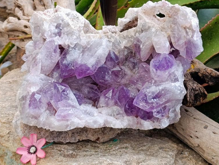 Natural XL Jacaranda Amethyst Crystal Cluster x 1 From Mumbwa, Zambia - Toprock Gemstones and Minerals 