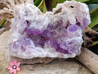 Natural XL Jacaranda Amethyst Crystal Cluster x 1 From Mumbwa, Zambia - Toprock Gemstones and Minerals 