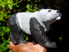Hand Made Large Panda Soapstone Carving x 1 From Zimbabwe - Toprock Gemstones and Minerals 