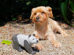 Hand Made Large Panda Soapstone Carving x 1 From Zimbabwe - Toprock Gemstones and Minerals 