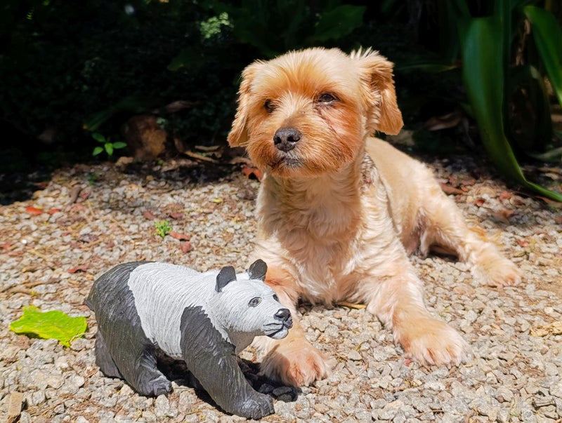Hand Made Large Panda Soapstone Carving x 1 From Zimbabwe - Toprock Gemstones and Minerals 