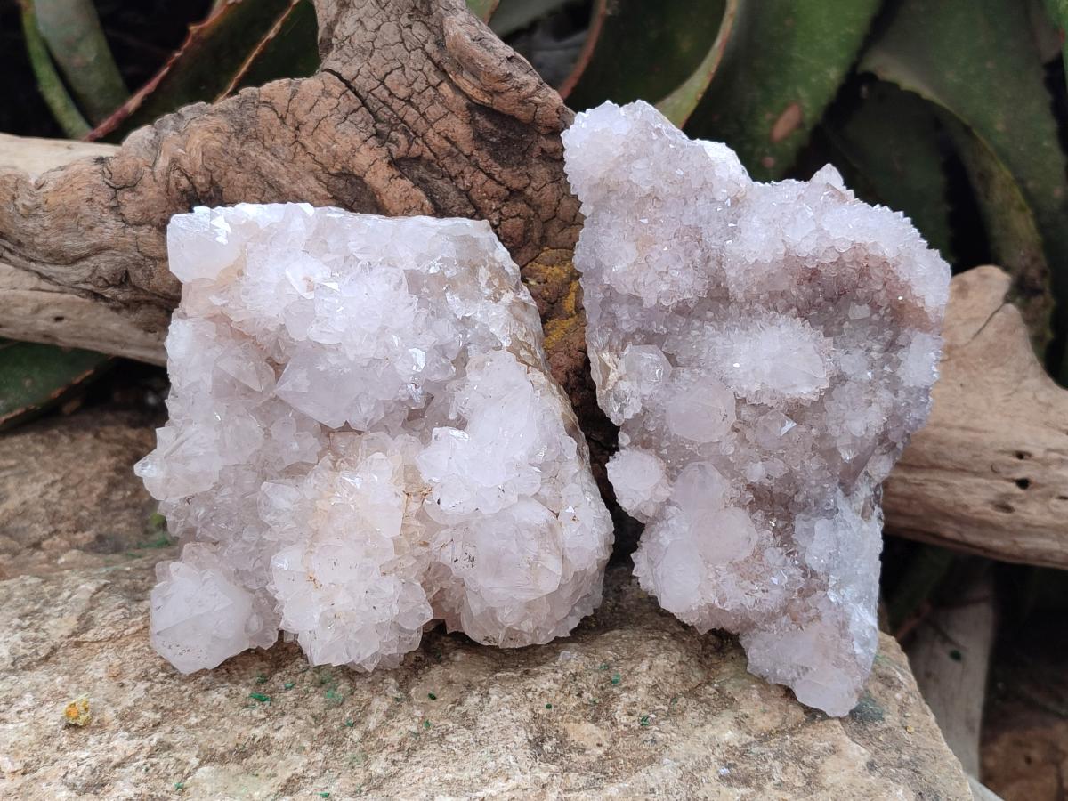 Natural White Spirit Quartz Cactus Flower Clusters x 3 From Boekenhouthoek, South Africa - Toprock Gemstones and Minerals 