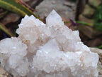 Natural White Spirit Quartz Cactus Flower Clusters x 3 From Boekenhouthoek, South Africa - Toprock Gemstones and Minerals 
