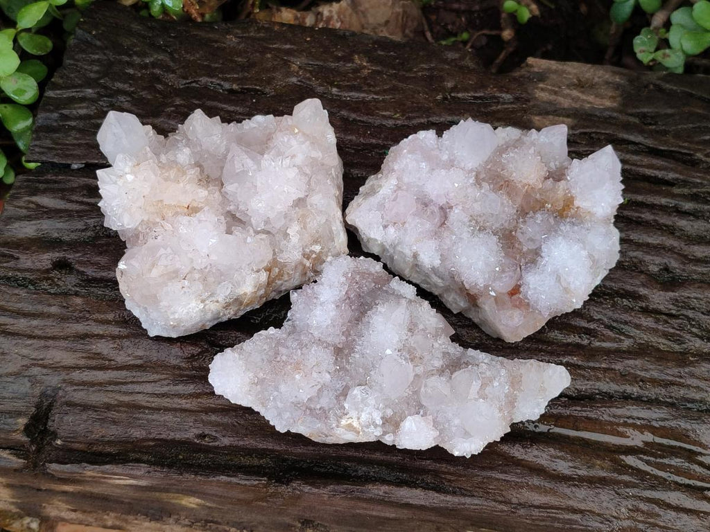 Natural White Spirit Quartz Cactus Flower Clusters x 3 From Boekenhouthoek, South Africa - Toprock Gemstones and Minerals 