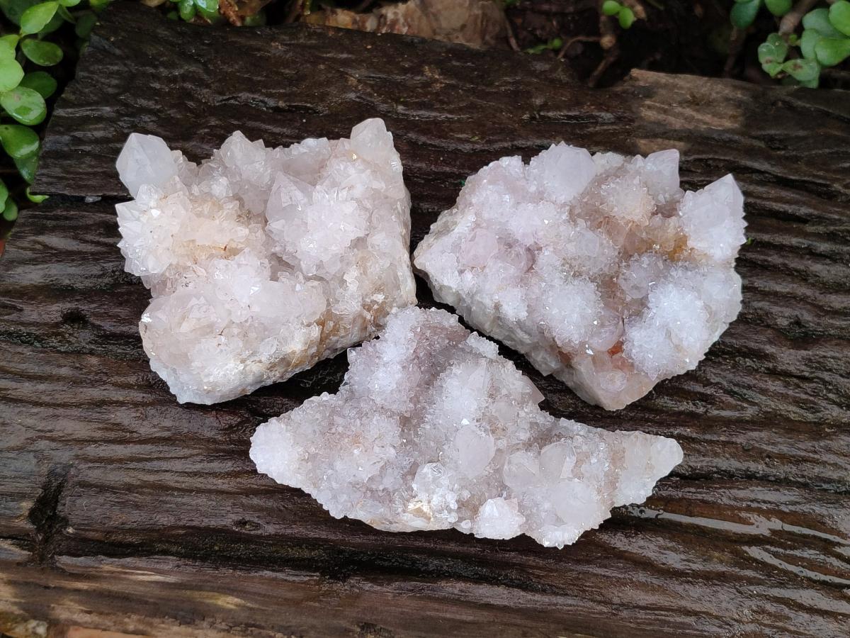 Natural White Spirit Quartz Cactus Flower Clusters x 3 From Boekenhouthoek, South Africa - Toprock Gemstones and Minerals 