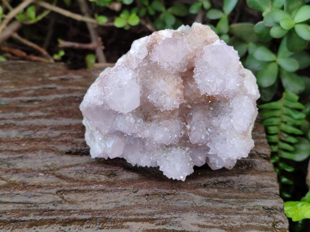 Natural White Spirit Quartz Cactus Flower Clusters x 3 From Boekenhouthoek, South Africa - Toprock Gemstones and Minerals 