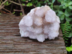 Natural White Spirit Quartz Cactus Flower Clusters x 3 From Boekenhouthoek, South Africa - Toprock Gemstones and Minerals 