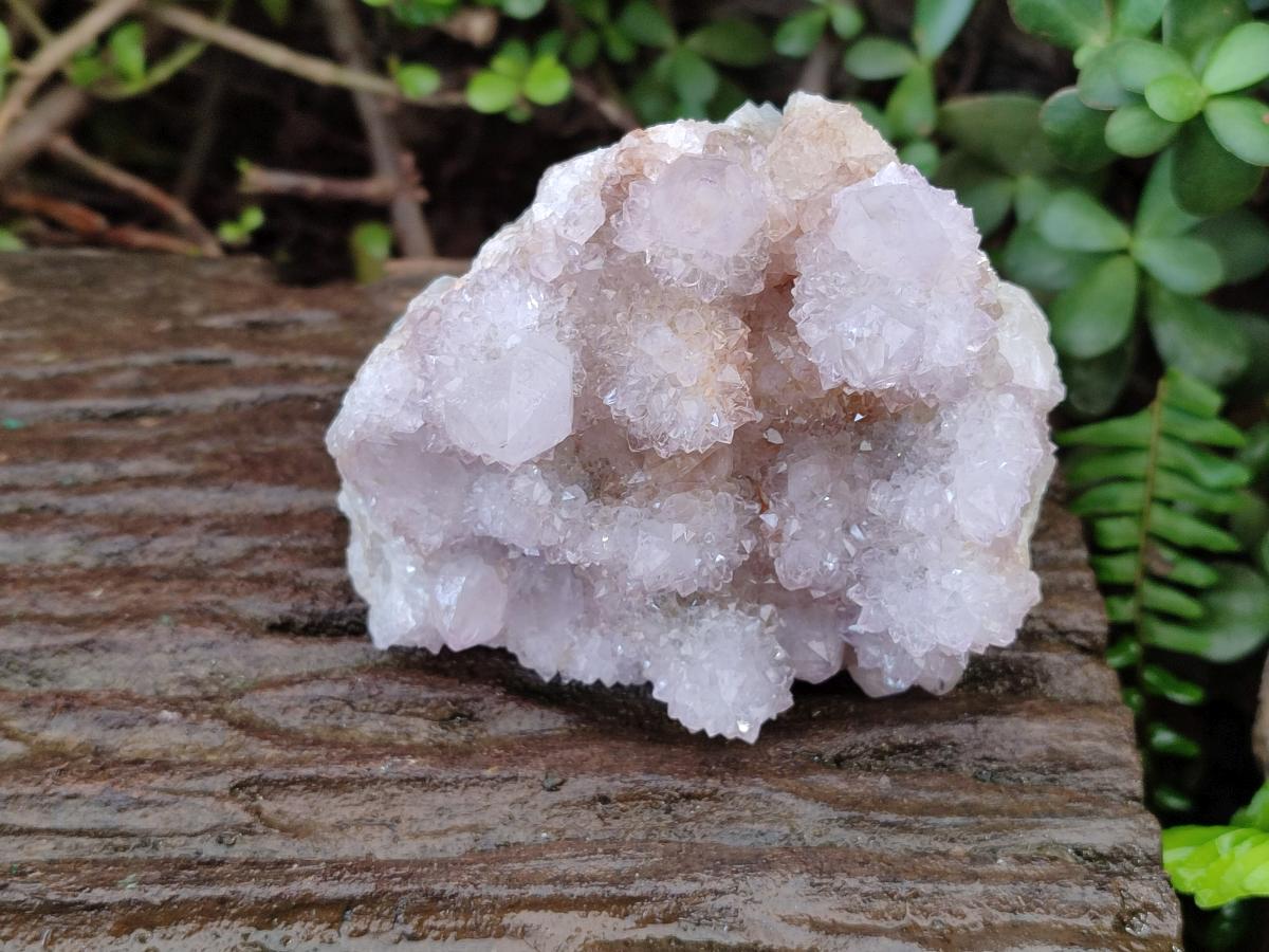 Natural White Spirit Quartz Cactus Flower Clusters x 3 From Boekenhouthoek, South Africa - Toprock Gemstones and Minerals 