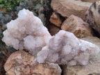 Natural White Spirit Quartz Cactus Flower Clusters x 3 From Boekenhouthoek, South Africa - Toprock Gemstones and Minerals 