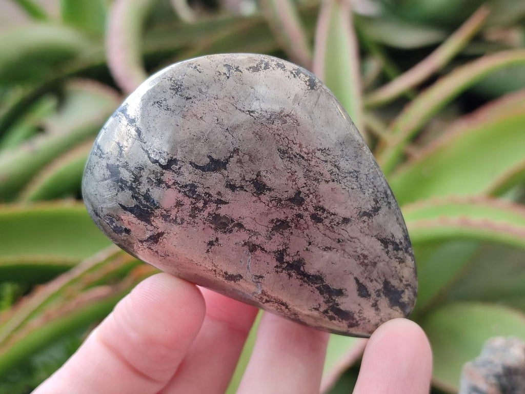 Polished XL Basalt Pharaoh Stone Free Forms x 6 From Iron Duke Mine, Zimbabwe - Toprock Gemstones and Minerals 