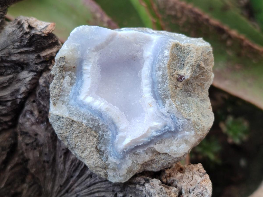 Natural Blue Lace Agate Geode Specimens x 12 From Nsanje, Malawi - Toprock Gemstones and Minerals 