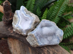 Natural Blue Lace Agate Geode Specimens x 12 From Nsanje, Malawi - Toprock Gemstones and Minerals 