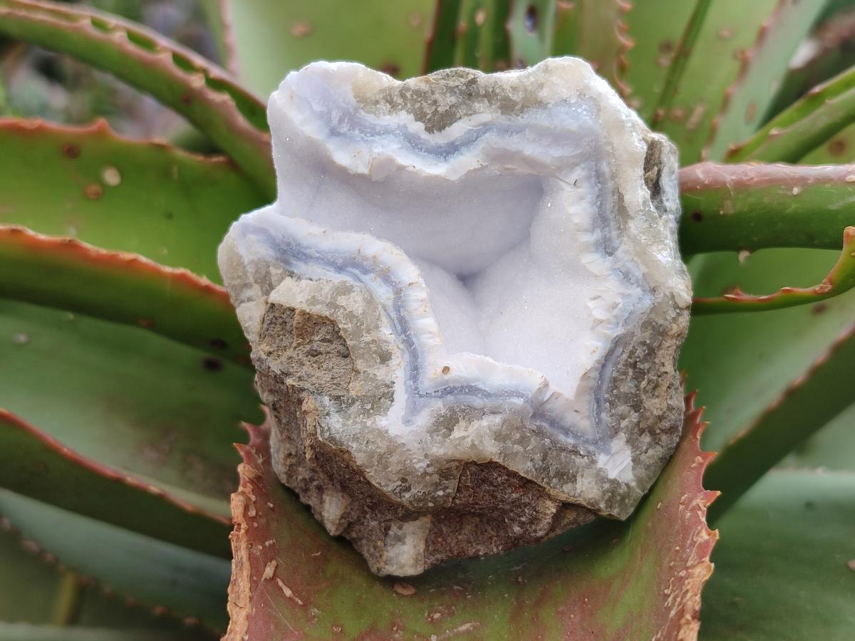 Natural Blue Lace Agate Geode Specimens x 12 From Nsanje, Malawi - Toprock Gemstones and Minerals 