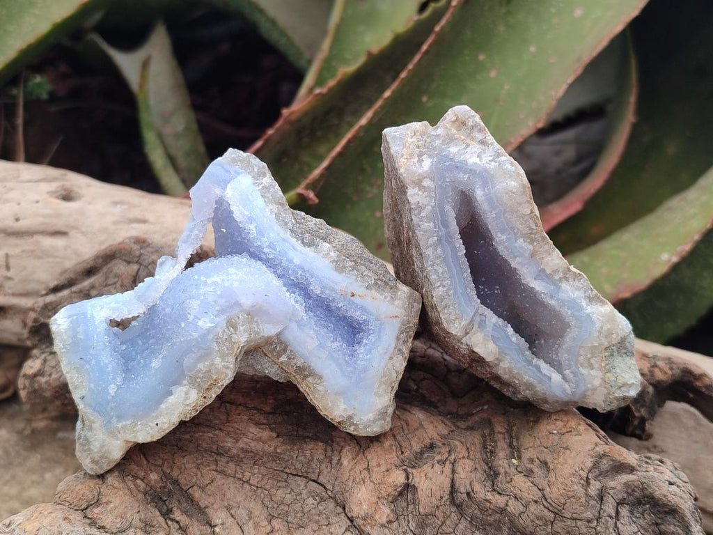 Natural Blue Lace Agate Geode Specimens x 12 From Nsanje, Malawi - Toprock Gemstones and Minerals 