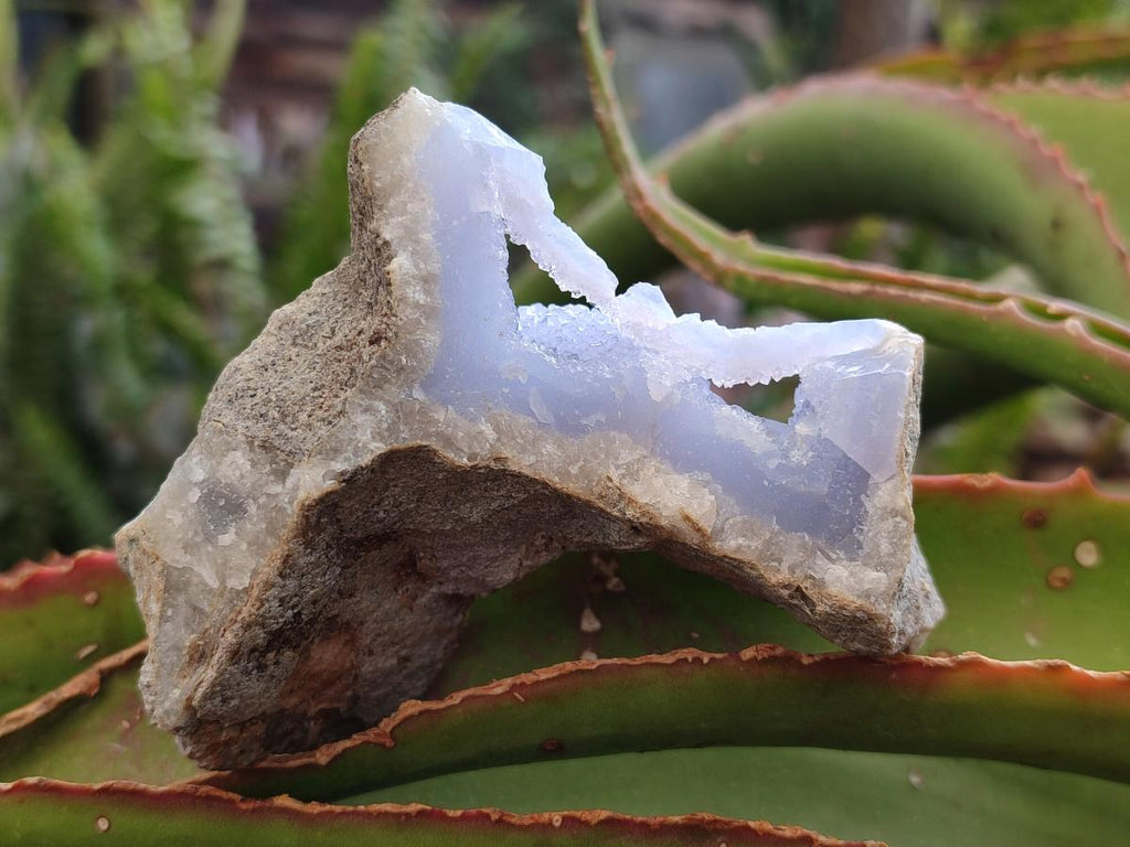 Natural Blue Lace Agate Geode Specimens x 12 From Nsanje, Malawi - Toprock Gemstones and Minerals 